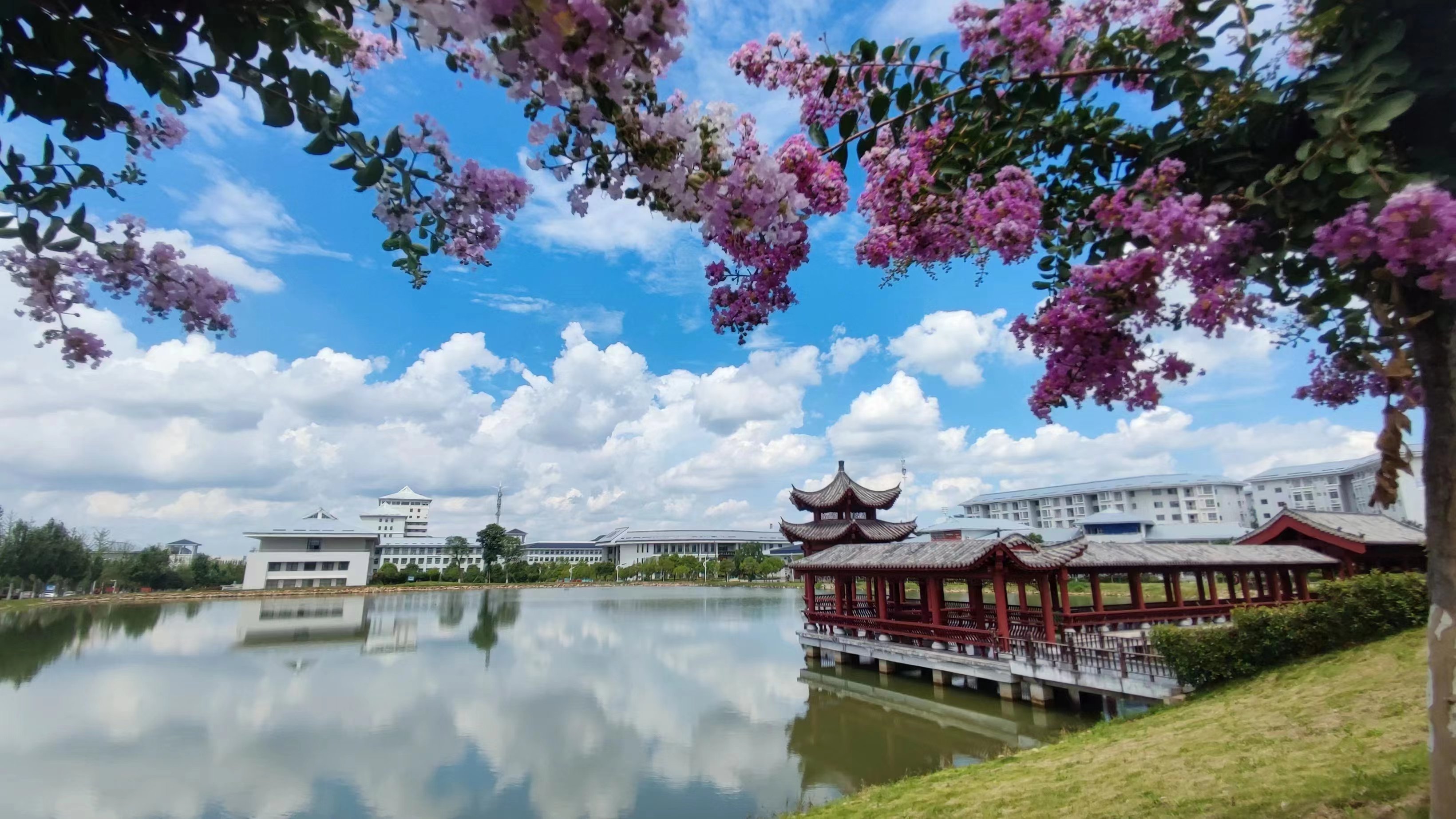 信阳职业技术学院